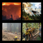 The Work We Rarely See Close Up