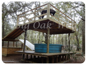 Big Oak Wolf Sanctuary 
